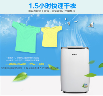 格力DH20EF 触控除湿新体验，20升大容量守护干爽生活